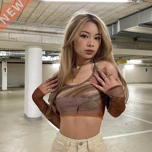 90s Women Aesthetic Brown Corset Top Vintage Crop Top Y2k Gr