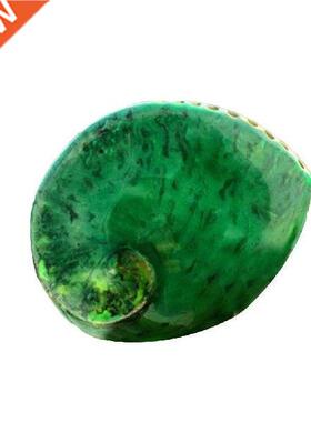 13-15cm Polished Natural Mexico Aalone Shell Collectiles