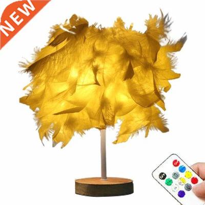 Indoor Desk Lamp Feather Light Cover USB Powered Living