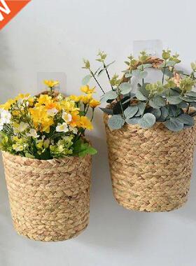 Garden Vine Pot Indoor Plants Holder Home Garden Wall