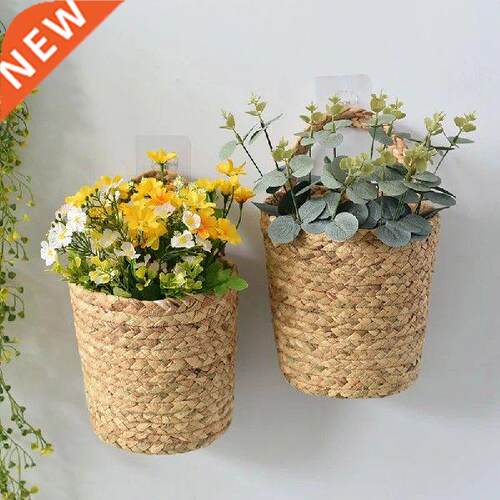 Garden Vine Pot Indoor Plants Holder Home Garden Wall