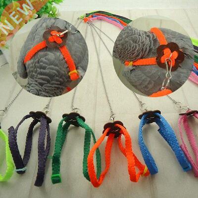 Parrot Bird Leash Outdoor Adjustable Harness Training Rope