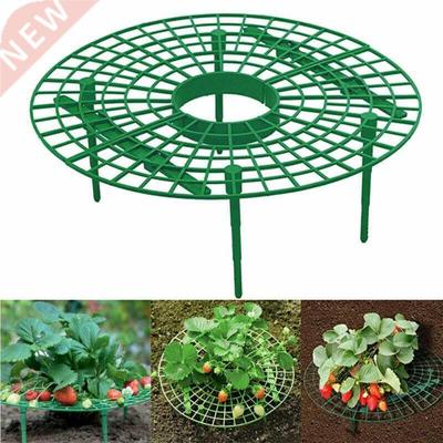 1 Pcs Round Plastic Strawberry Stand Balcony Grow Vegetables
