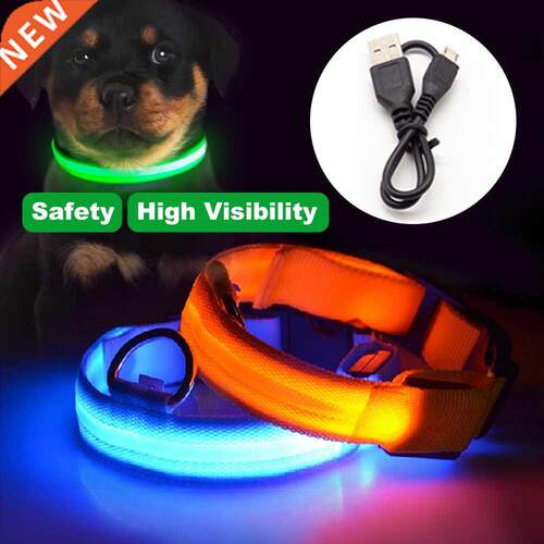 USB Charging Or Button Battery Led Dog Collar Perro Anti-Los