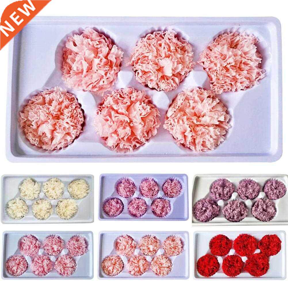 6PCs/Box Artificial Dried Flower Carnation Landscaping