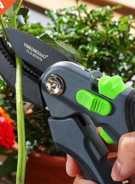 Plant trim horticulture Hand pruner cut secateur Shrub Garde