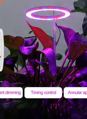 1pcs LED Grow Lamp DC5V USB Phytolamp 4 Angel Rings Full