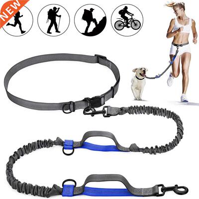 2022 New Reflective Leash Traction Rope Pet Dog Running Belt