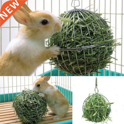 Hay Ball Shape Grass Feeder Tool Food Stainless Steel Platin