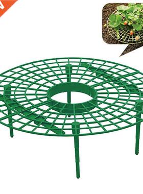 Strawberry Fruit Stand Planting Rack Plant Support Climbing