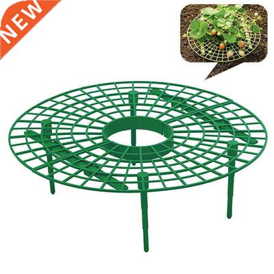 Strawberry Fruit Stand Planting Rack Plant Support Climbing