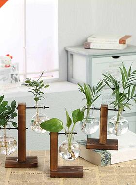 Hydroponic Plant Vases Vintage Flower Pot Transparent Vase W