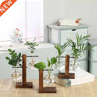 Hydroponic Plant Vases Vintage Flower Pot Transparent Vase W
