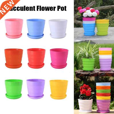 New Colorful Plastic Flower Pot With Trays Green Plant Mini