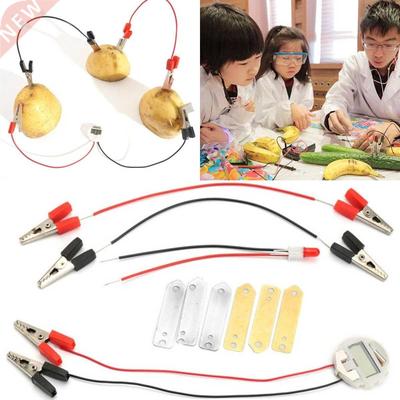 Potato Fruit Biologia Energy Generate Electricity Science Ex