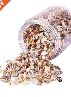 Sea Shells Mixed Beach Seashell Perfect Accents for Jewelry