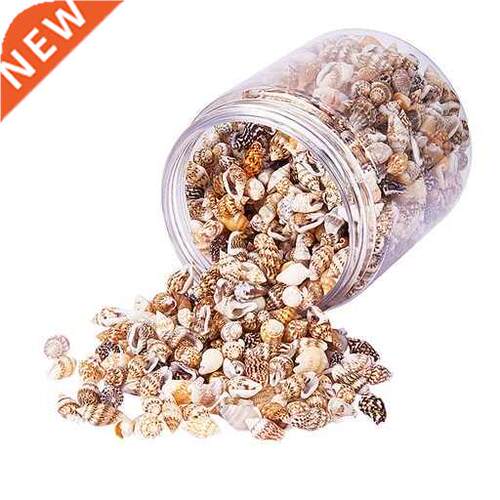 Sea Shells Mixed Beach Seashell Perfect Accents for Jewelry
