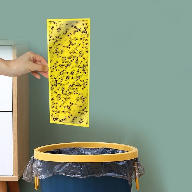 灭蝇灯粘蝇纸粘虫板灭蚊灯沾粘纸苍蝇纸纸板果蔬大棚苍蝇贴