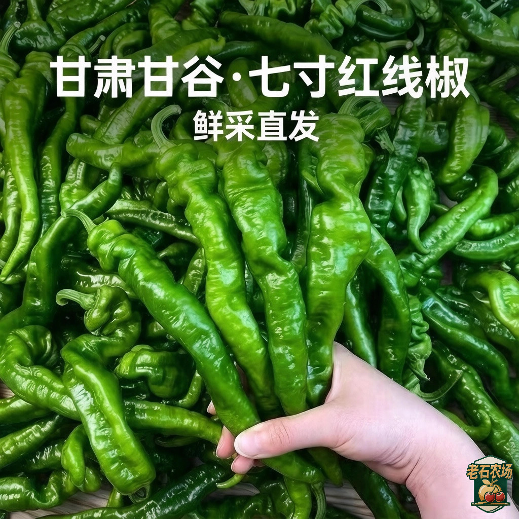 甘肃天水甘谷七寸红线椒香而不辣肉厚油多天水麻辣烫灵魂农家干货