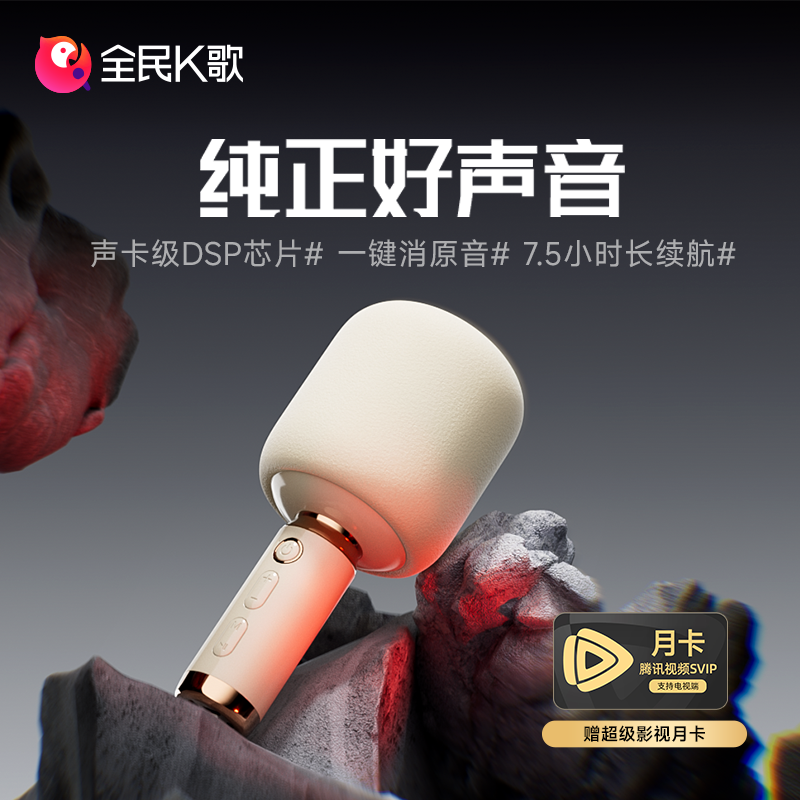 音响一体麦克风娱乐话筒全民K歌