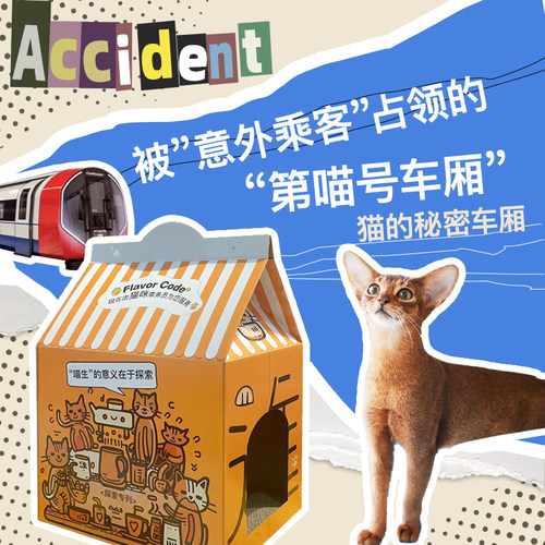 疯味代码猫窝咖啡组合