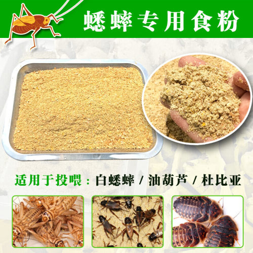 白蟋蟀油葫芦黑蛐蛐杜比亚樱桃蟑螂饲料天然五谷饲料打磨食粉