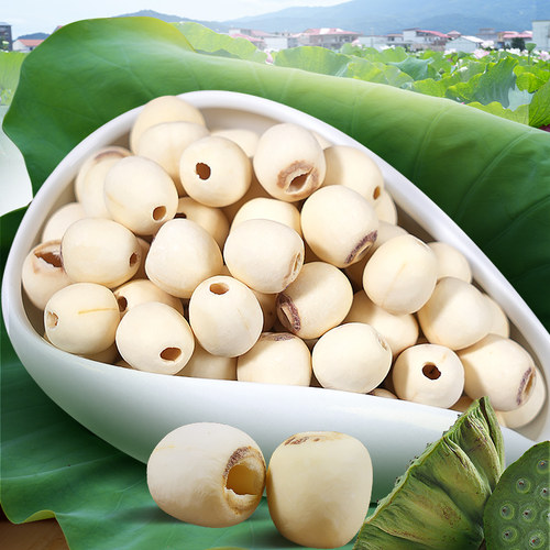 莲小花特级品大粒去芯白莲500g