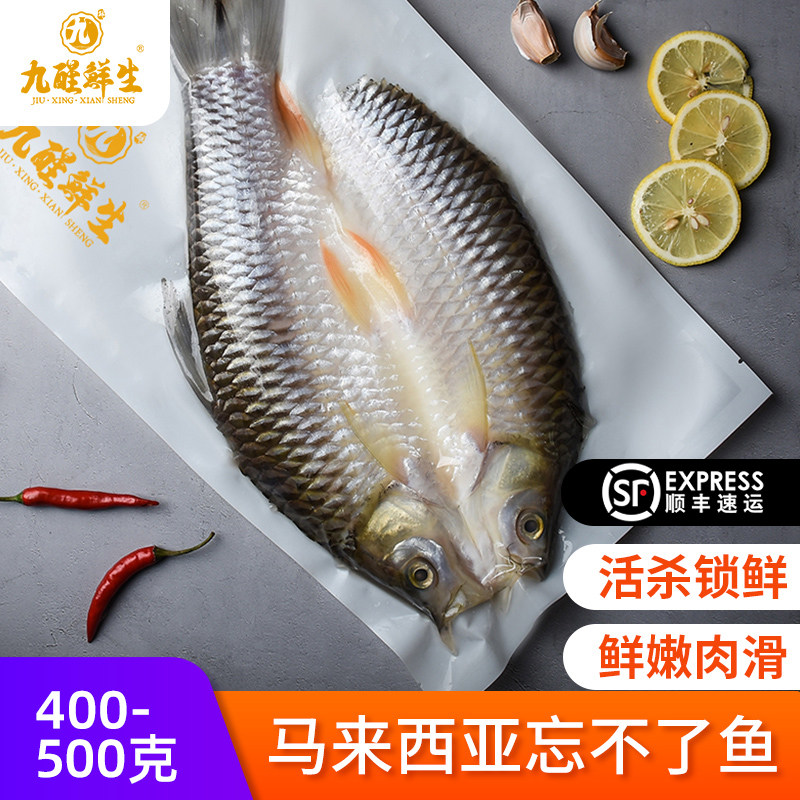 九醒鲜生皇帝鱼马来西亚忘不了鱼腌制鲜活速冻淡水鱼整条400-900g