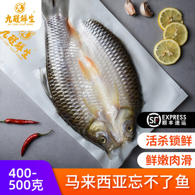 九醒鲜生皇帝鱼半条800-900g