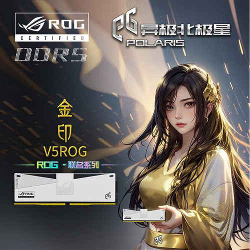 异极北极星V5 ROG联名DDR5台式机16G内存条6000马甲条内存条C36