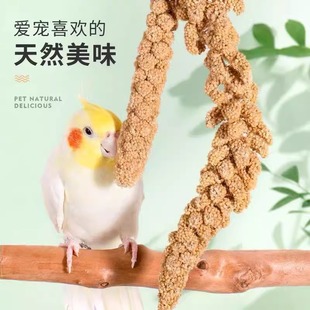 鹦鹉谷穗带壳黄谷子虎皮牡丹玄凤小米穗仓鼠零食谷穗子鸟饲料粮食