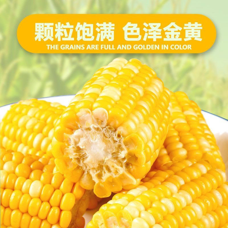 云南新鲜水果玉米开袋即食半截免煮代餐早餐速食学生黄金甜玉米段