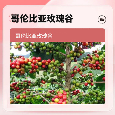 玫瑰花香水蜜桃冷萃小甜豆