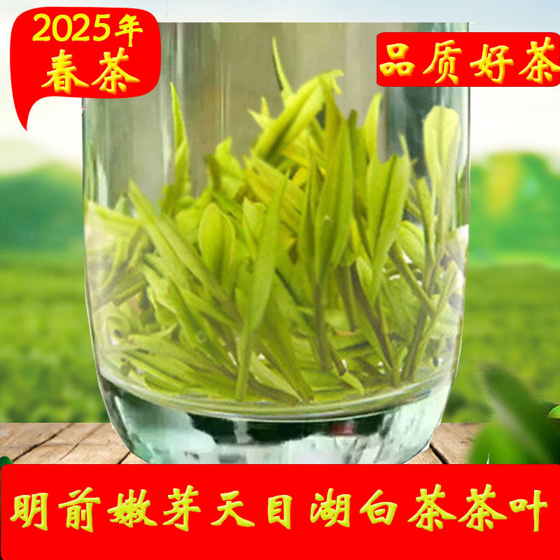 2026新茶忆芯为茗天目湖白茶茶叶明前溧阳特级绿茶春茶125克罐装