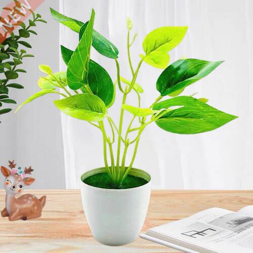 High Quality Artificial Plant Vivid Everlasting No
