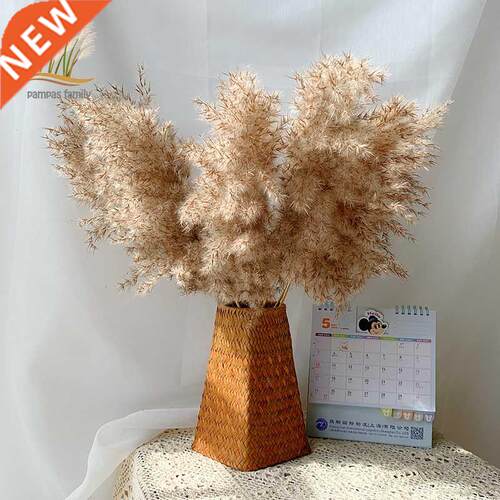 Dried Pampas Grass Decor Fluffy Tall 20-22'' Wedding Flowers