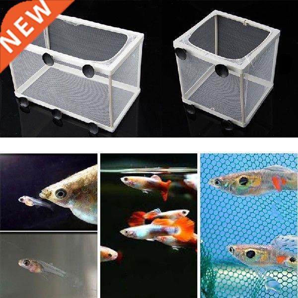 Fish Tank Aquarium Breeding Guppy Breeder Fish Baby Gauze