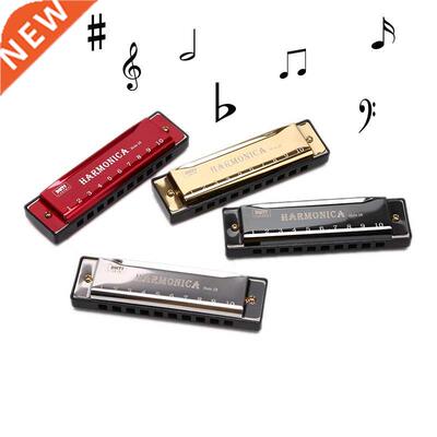 10 Hole Harmonica Mouth Organ Puzzle Musical Instrument Begi