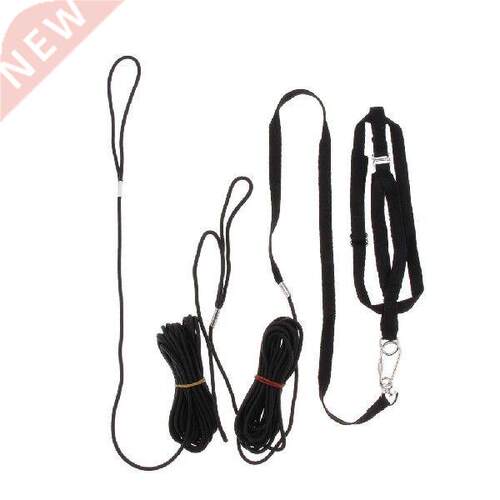 1x Adjustable Bird Harness Leash Training Rope Outdoor