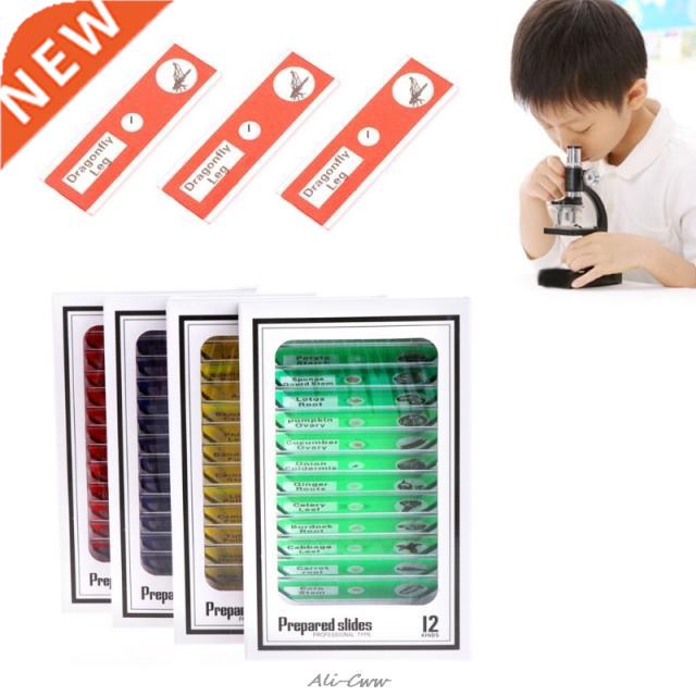 48Pcs/Set Prepared Microscope Slides Specimen Animals Insect