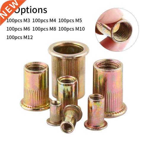 100Pcs Rivet Nut Mixed Iron Galvanized Threaded Insert Nuts