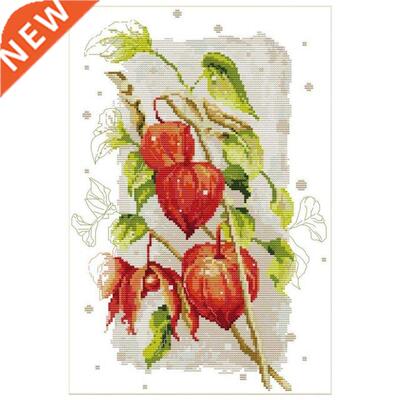 Cross Stitch Kits Stamped For Adults Beginner Kids, Red Goos