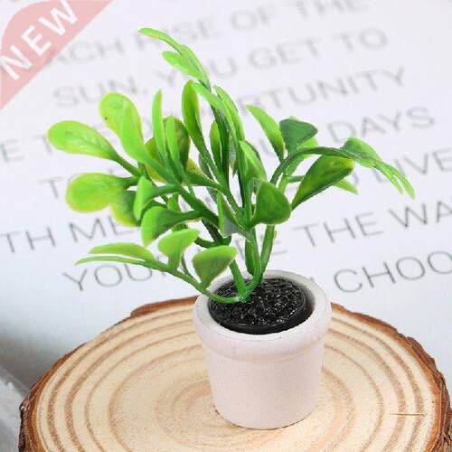 1:12 doll house mini potted small green plant decoration