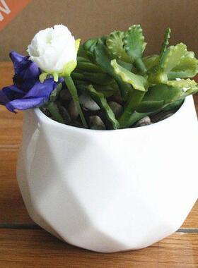 Flower Pot Plant Pots Ceramic Ceramic Flower Pot Garden