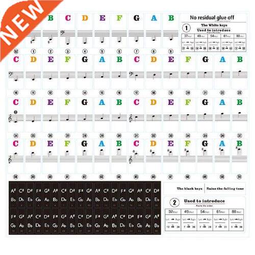 88/61/54/49 Electronic Keyboard Piano Stave Transparent
