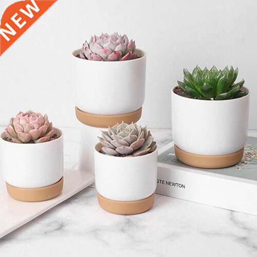 Plastic Imitation Ceramic Succulent Plant Pots Flower Pot-La