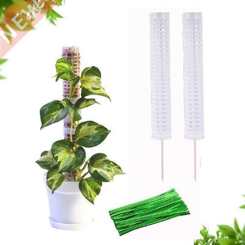 Moss Poles For Climbing Plants Plant Support Extension Rack