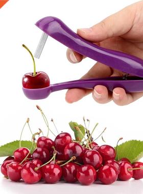 cerise noyau extracteur de graines cerise Pitter gder comp