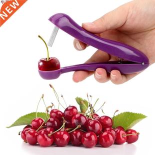 cerise noyau extracteur de graines cerise Pitter gder comp