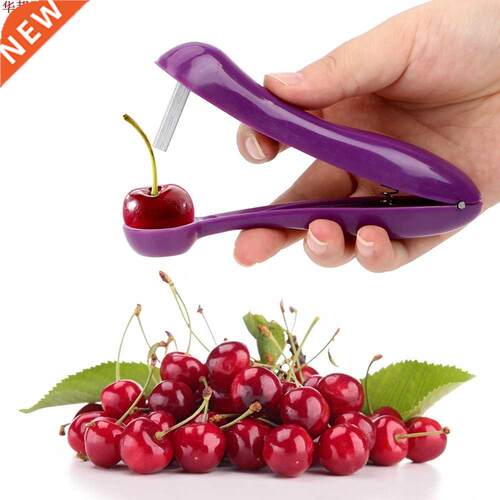cerise noyau extracteur de graines cerise Pitter gder comp